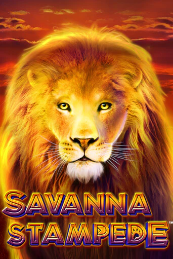 Savanna Stampede демо слот бесплатно в браузере | Казино Azino 777