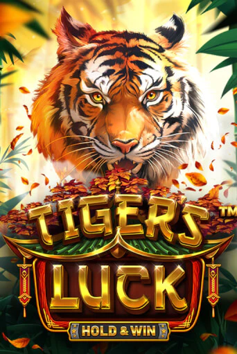 Tiger's Luck - Hold & Win демо слот бесплатно в браузере | Казино Azino 777